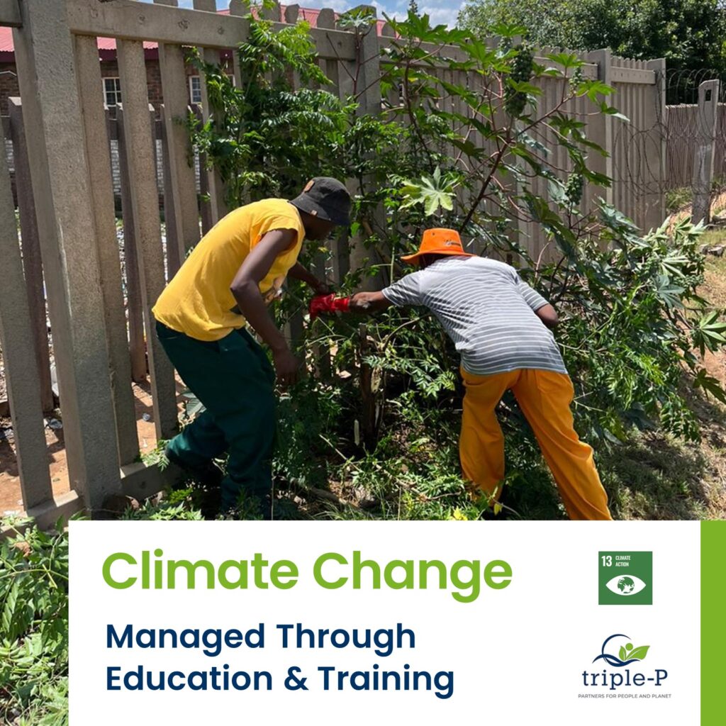 Climate Change Through Education