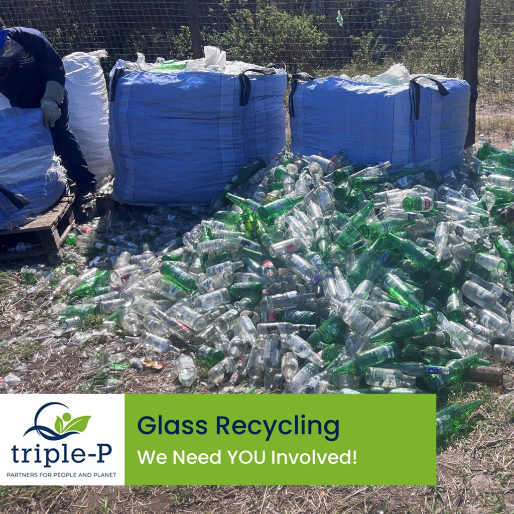 Join the Glass Recycling Movement! 